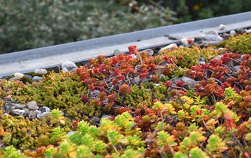 the cost of Northall Green green roof installation
