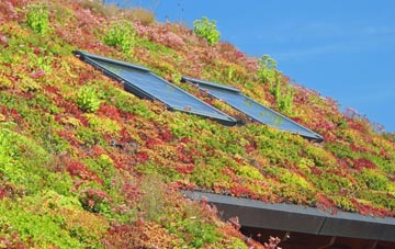 Northall Green living roof systems